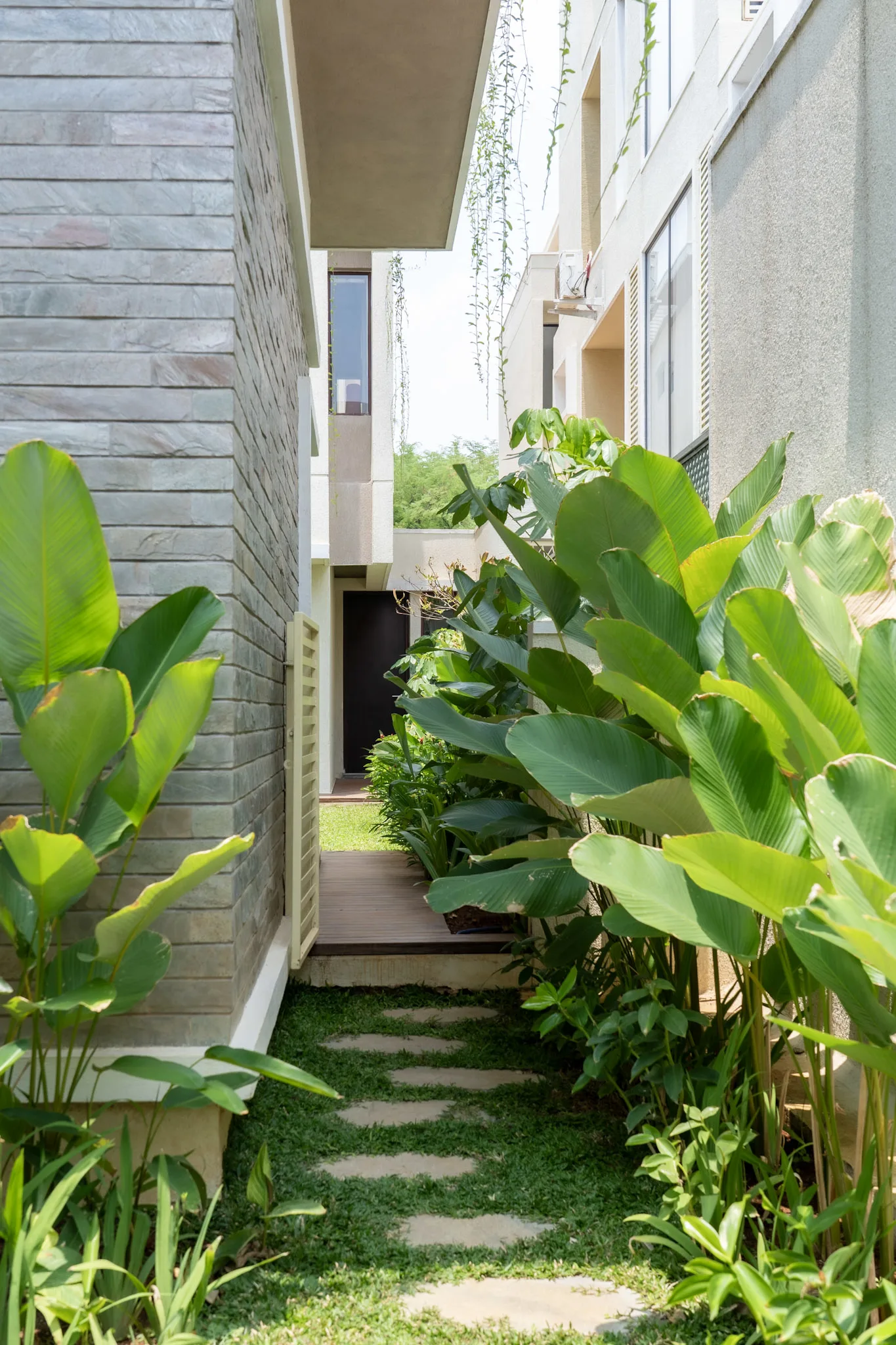 Luxury villa side garden pathway with tropical landscape, stepping stones, and lush green plantation in Bangalore residence